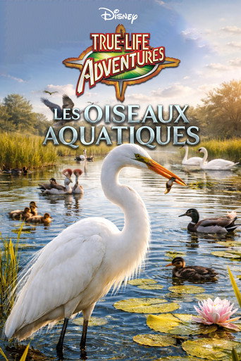 Poster 6