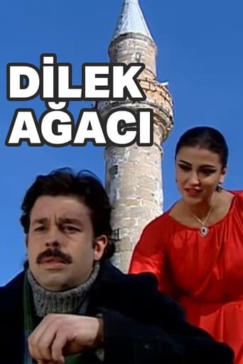 Poster of Dilek Ağacı