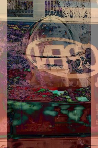 Questioning, Requesting (2017)