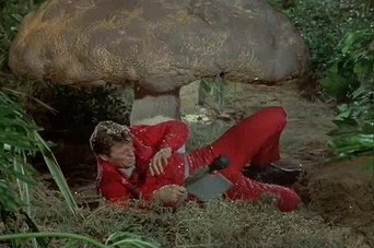 Episódio Episódio 5 da série Terra de Gigantes