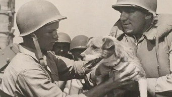 #7 Guadalcanal Diary