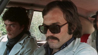 #7 The Violent Professionals