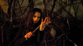 Galeria 2 - Cherry Tree