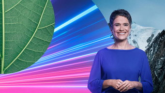 #5 Globo Repórter