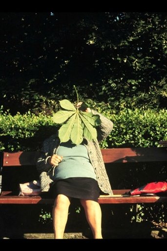 Past Perfect (2002) Past Perfect (2002)