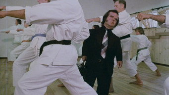 #19 Karate Killer