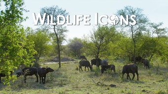 Wildlife Icons (2015- )