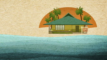 #21 Beachfront Bargain Hunt