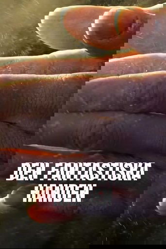 Unsere Hand – Geniestreich Der Evolution