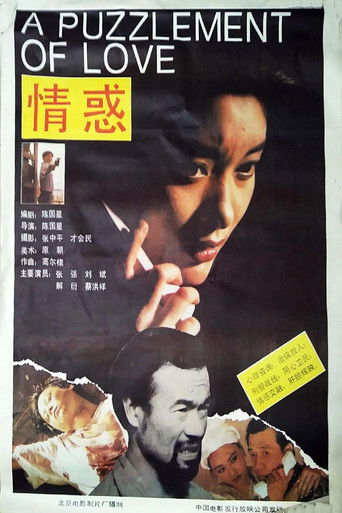 情惑 poster