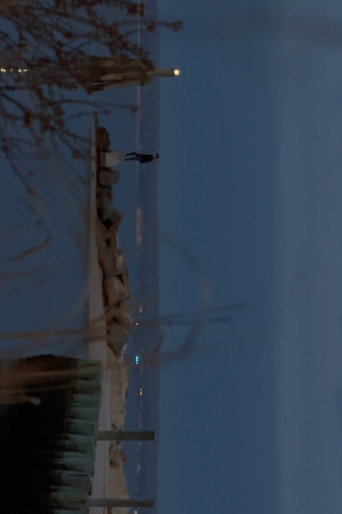 A walk in a straight line