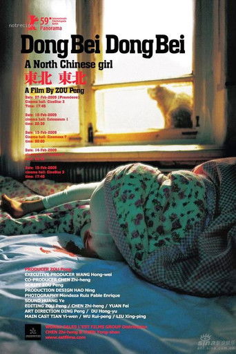 A North Chinese Girl poster