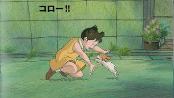 コロの大さんぽ