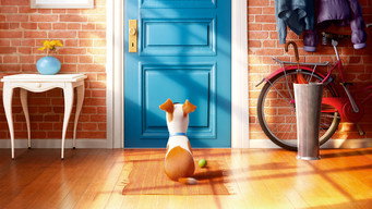 The Secret Life of Pets backdrop 10