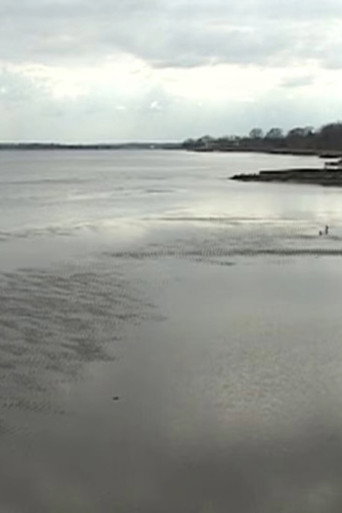 Chesapeake Views from Late February and Early April (2021)