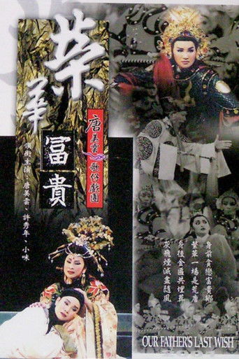 唐美雲歌仔戲之榮華富貴 poster