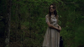 #11 Still