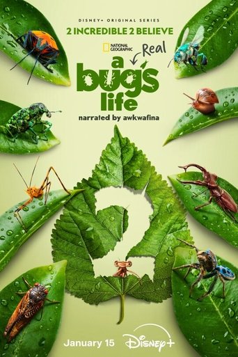 A Real Bug’s Life Season 2 A Real Bug’s Life Season 2