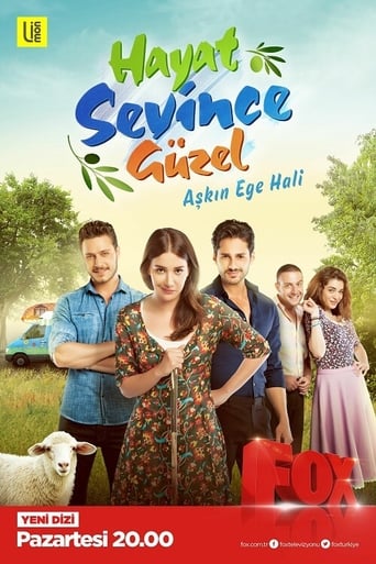 Poster of Hayat Sevince Güzel