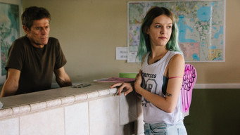 #29 Проєкт «Флорида»