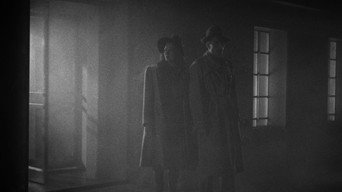 #33 Cat People