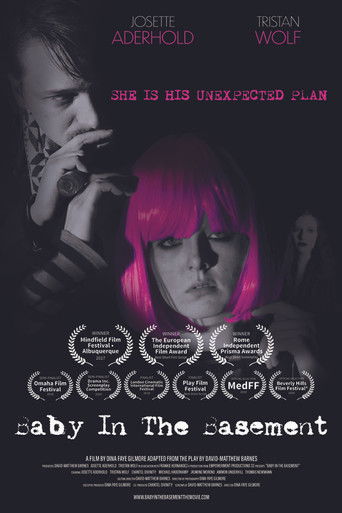 Baby in the Basement poster