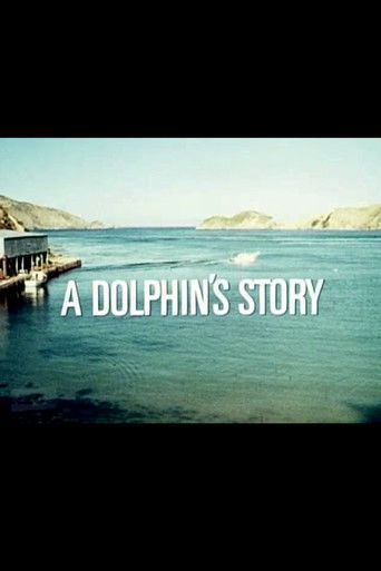 A Dolphin's Story (1974)