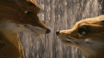 Fantastic Mr. Fox backdrop 9