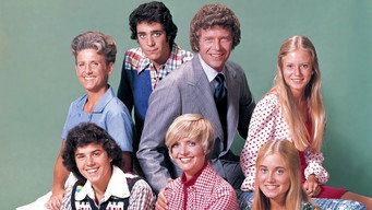 #6 The Brady Bunch