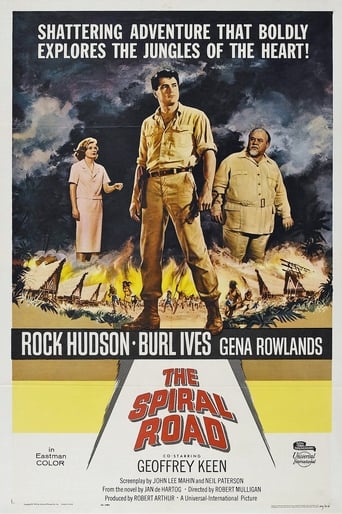 poster of The Spiral Road