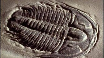 Lost Worlds, Vanished Lives - S1E01
