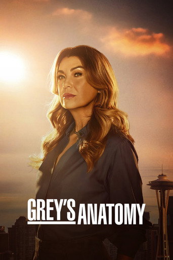 Anatomía de Grey — poster 166, 1000 × 1500
