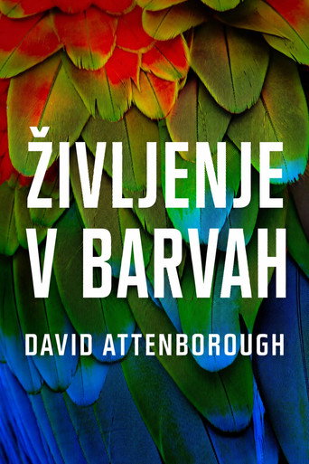 Življenje v barvah
