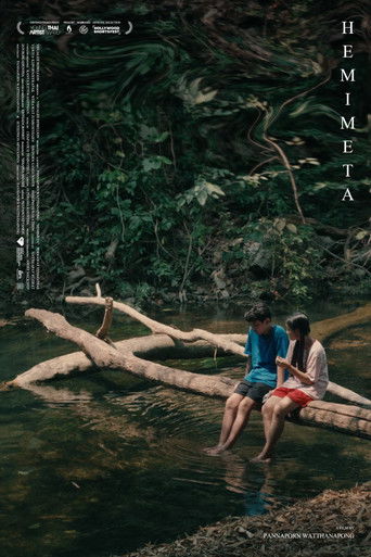 เฮมิเมตา (2022)