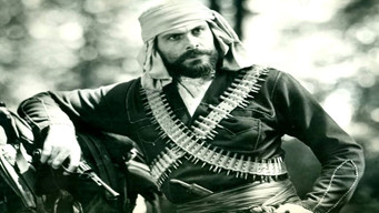 Mevludi media image