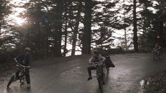 #17 Бовдури