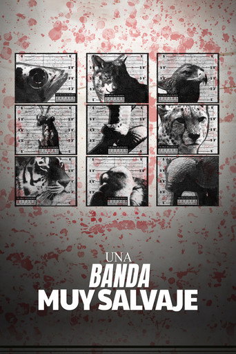 Una banda muy salvaje (2024年)のポスター画像 - FindKey
