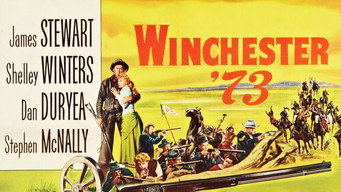 #21 Winchester '73