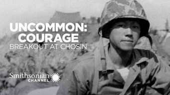 Uncommon Courage: Breakout at Chosin (2010)