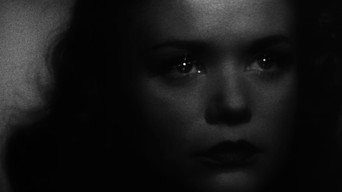 #34 Cat People