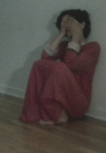 La vue en rose (1986)