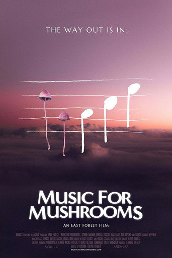 Music for Mushrooms (2024)