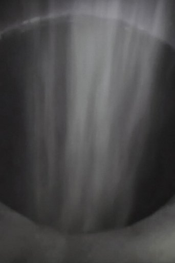 It's just a little hole in my chest (2004)