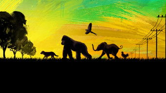 Galeria 2 - El magnífico Iván