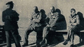 From Where They Stood (2021)