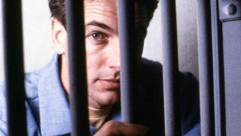 #6 The Deliberate Stranger