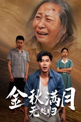 金秋满月无处归 poster