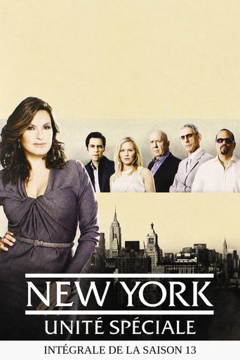 New York Unité Spéciale - S13 - Poster