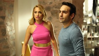 Sister In Law (2016)