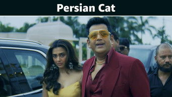 Episode 3 — Persian Cat